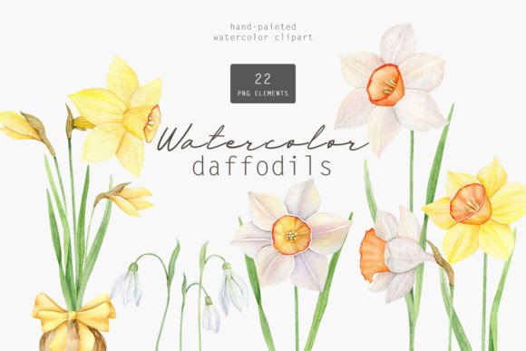 Watercolor Daffodil Flowers Spring Set: A Creative Springboard